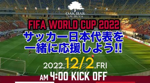 渋谷パブリックビューイングワールドカップでサッカー熱狂！